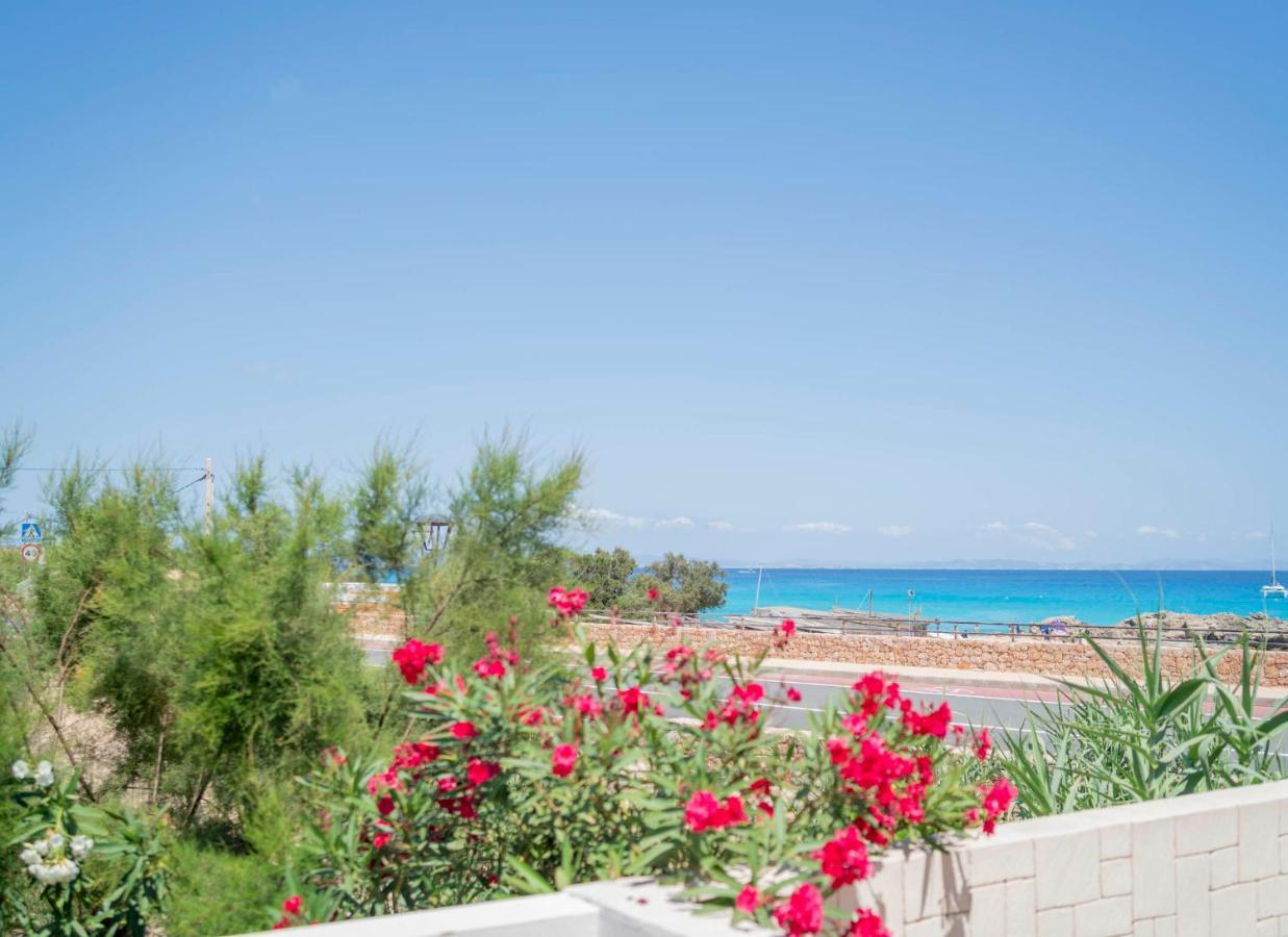 Cavall De Llevant - Formentera Break إس كالو المظهر الخارجي الصورة